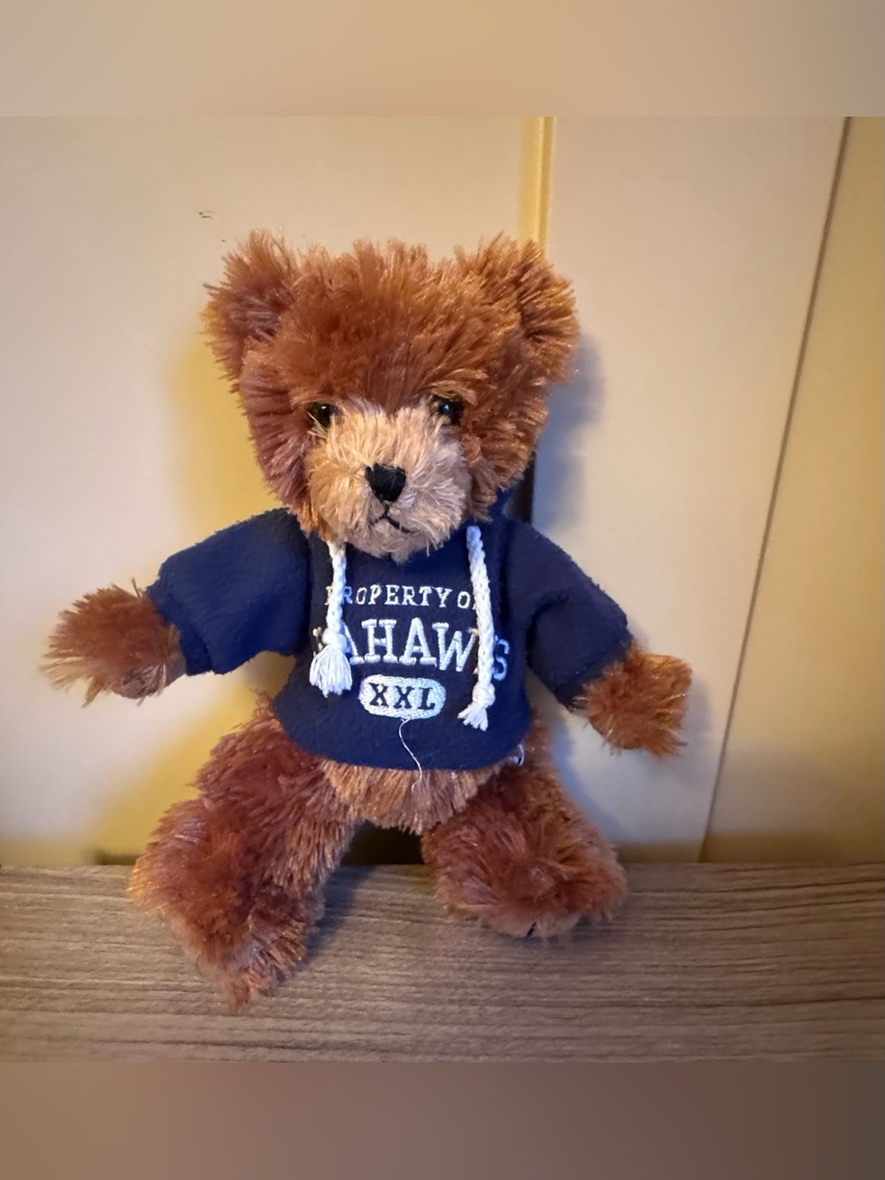 Seattle Seahawks NFL teddy bear plush Animal 10"